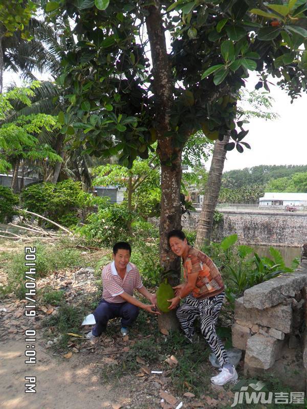 温泉庄园实景图图片