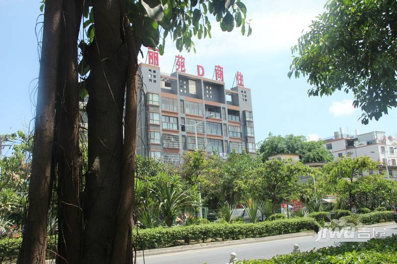 丽苑商住实景图图片