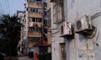 北濠桥东村实景图图片