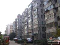 北濠桥东村实景图图片