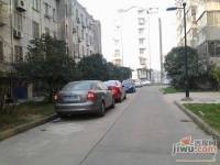 北濠桥东村实景图图片