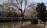 北濠桥东村实景图图片
