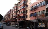 北濠桥东村实景图图片