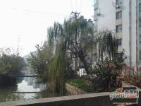 北濠桥东村实景图图片