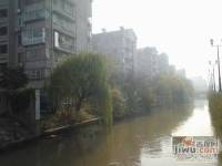 北濠桥东村实景图图片