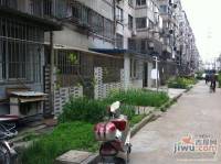 北濠桥东村实景图图片