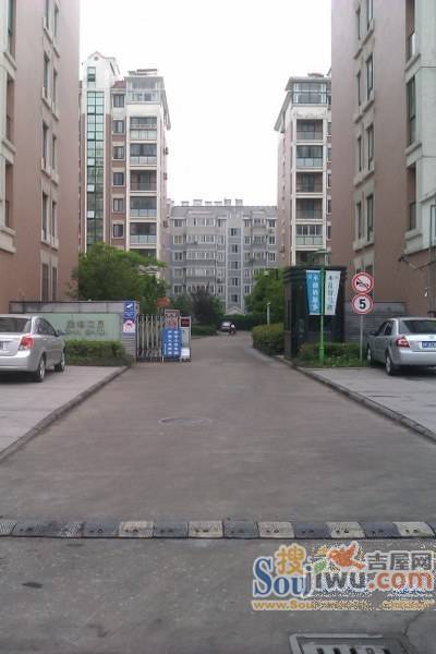 星海花园菁英汇实景图图片