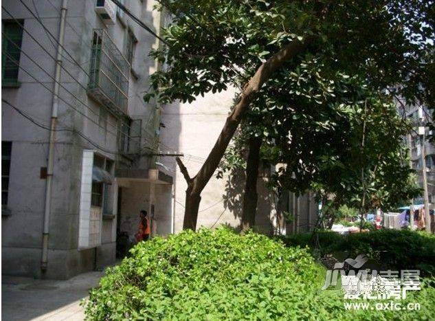 起凤园实景图图片