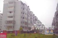 虹桥新苑实景图7