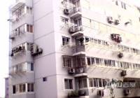虹桥新苑实景图7