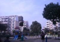 新景苑实景图图片