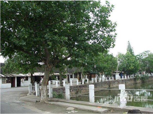 大南新村实景图图片