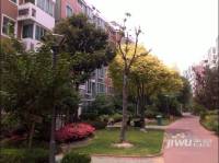 天安花园别墅实景图2