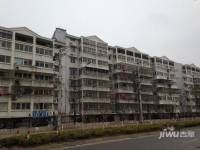 东城花园实景图16