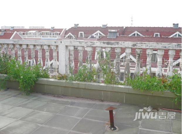 黎明花园实景图图片