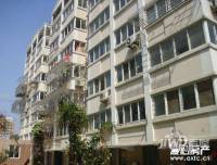 东城花园实景图16
