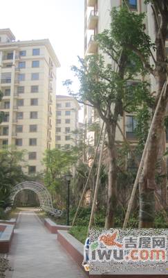 集美红树康桥实景图图片