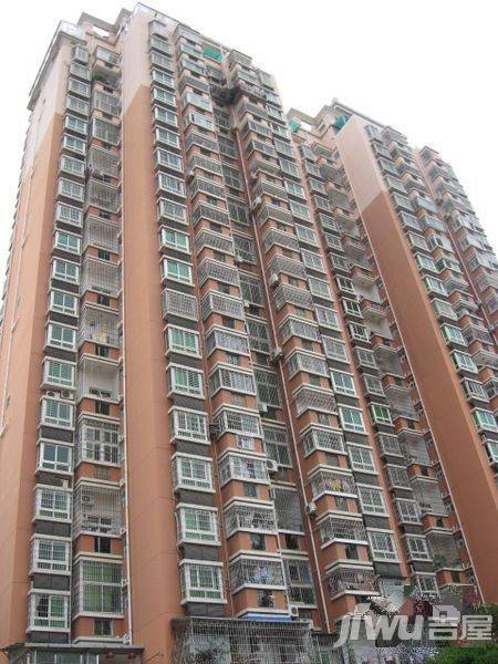 金枫园配套图图片