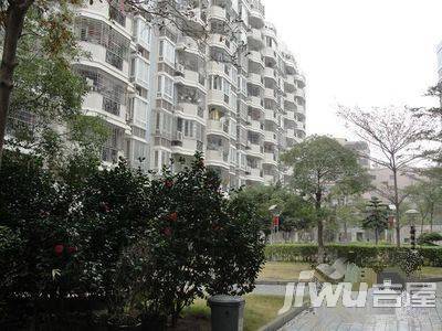 金桥园实景图图片
