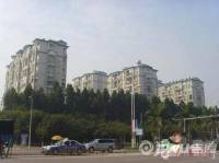 禹洲高HOUSE尧洲新城实景图图片