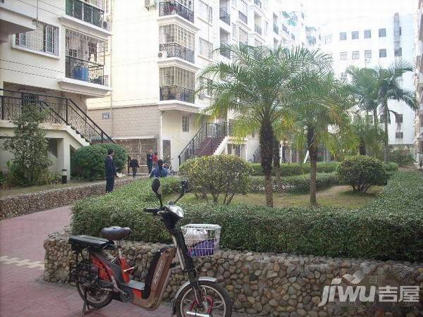 奔马新村实景图图片