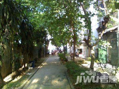 岳阳西里实景图图片