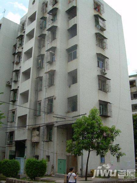岳阳小区实景图图片