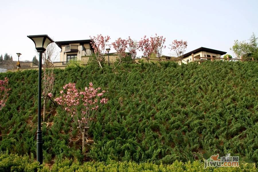 揽岳阅湖山实景图图片