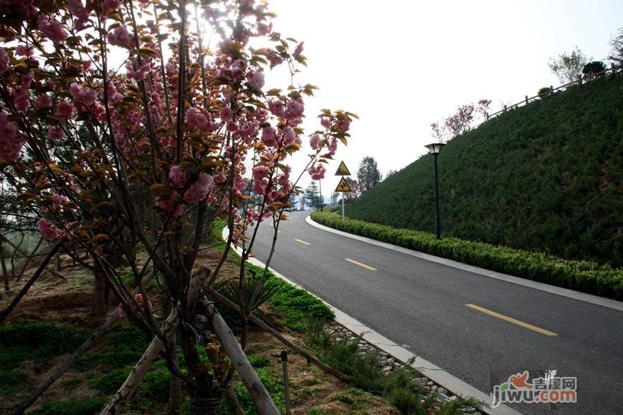 揽岳阅湖山实景图图片