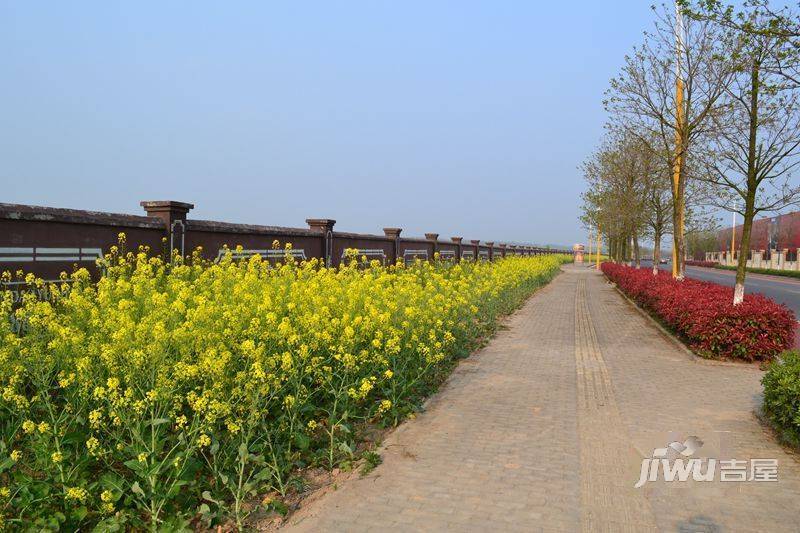 东方绿岛实景图图片