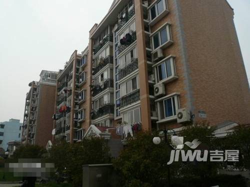 新苑B区实景图图片
