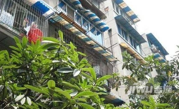 632小区实景图图片