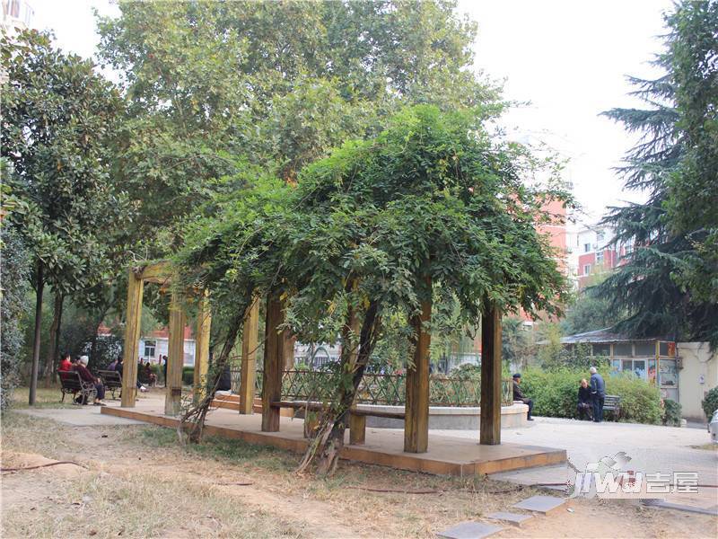 中侨绿城二期实景图图片
