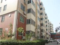 金色家园实景图图片