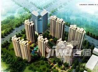 33克拉实景图图片