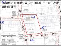 隆泰丽水天汇雅轩实景图图片