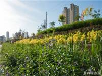 信达雅山新天地三期实景图图片