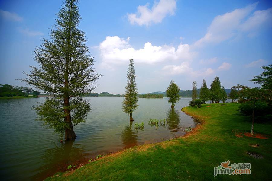 美的鹭湖森林度假区实景图