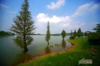 美的鹭湖森林度假区实景图3