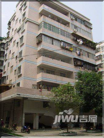 杏苑新村实景图图片