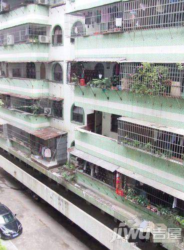 农林路小区实景图图片