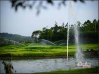 黄龙溪实景图图片