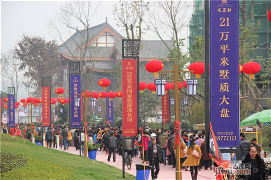 龙玺台住宅实景图图片