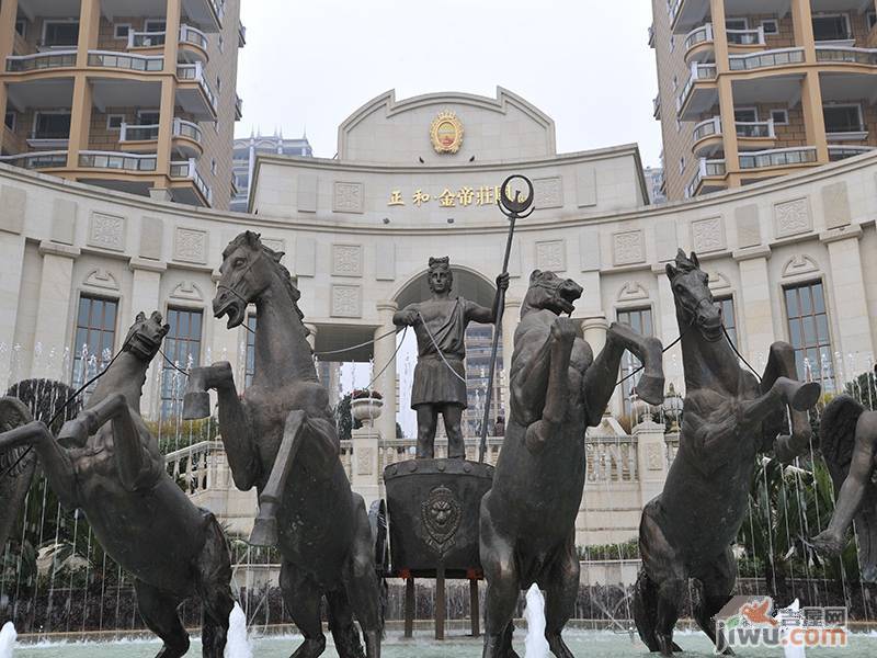 正和金帝庄园实景图图片