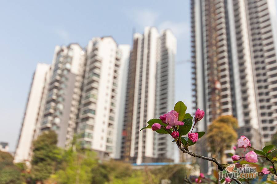 梓山湖领御实景图图片