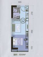 东凌广场1室1厅1卫50㎡户型图