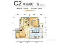 蓝光COCO国际商铺2室2厅1卫54㎡户型图