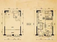 东原18911室2厅1卫59.4㎡户型图