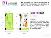 皇马骊宫2室2厅1卫40.5㎡户型图