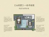 万科香水君澜普通住宅445㎡户型图